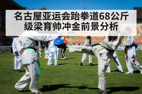 taekwondo athlete kick