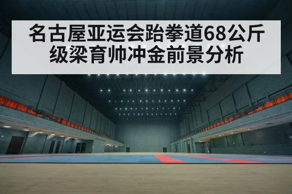 taekwondo competition arena