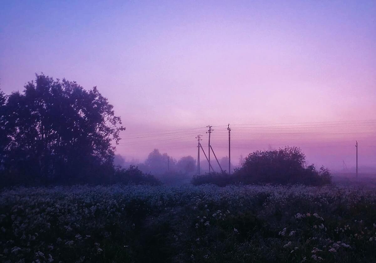 开云在线平台-558人检测新增2例阳性 NBA禁止球队提前接种疫苗